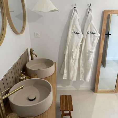 Βίλα Jolie Avec Bain Balneotherapie Colombiers (Vienne)