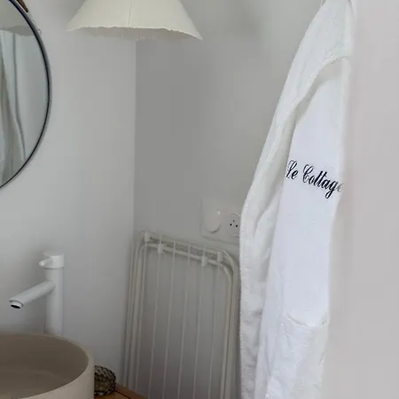 Βίλα Jolie Avec Bain Balneotherapie Colombiers (Vienne)